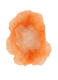 CaluGuard Basic haarnet oranje maat L 100st